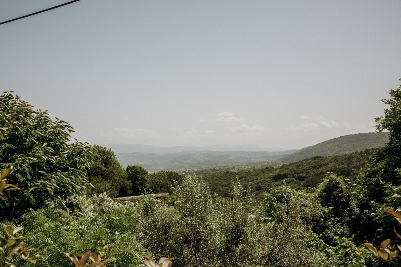 Apartmaji Pajer Koper Buitenkant foto